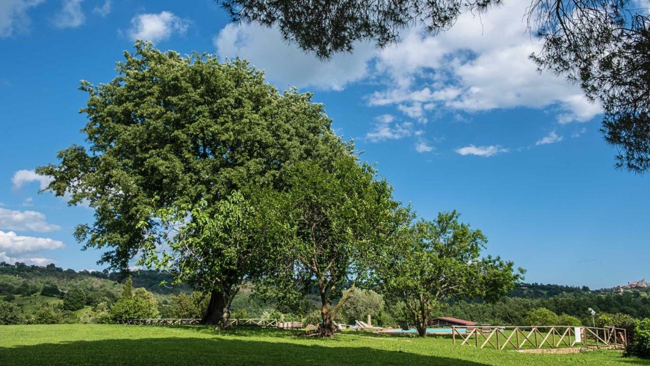 Agriturismo Bio Le Macchie Alte Manciano Exteriör bild